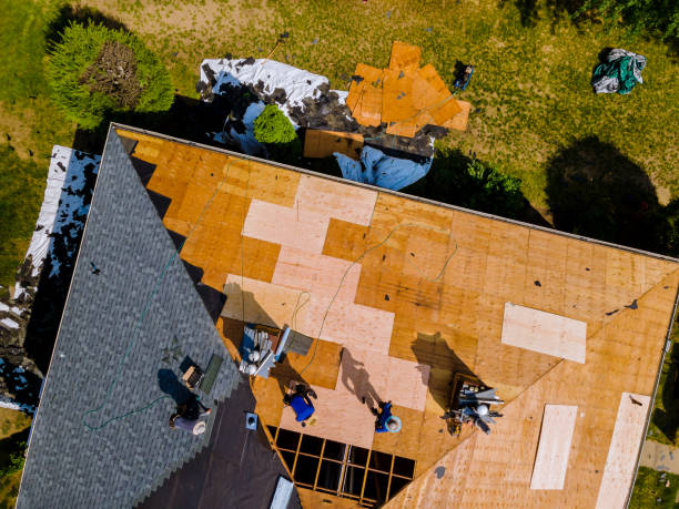 Best Local Roofing Companies  in Ome, GA