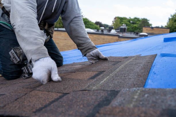 Best Gutter Installation and Roofing  in Ome, GA