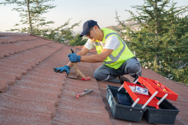Best Roof Restoration Services  in Ome, GA