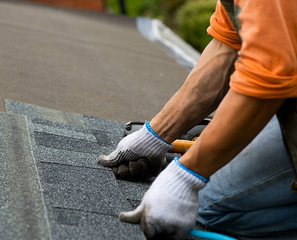 Best New Roof Installation  in Ome, GA