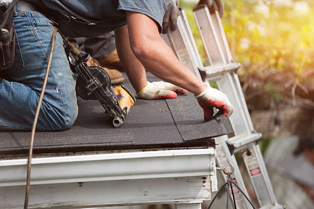 Best Shingle Roofing Installation  in Ome, GA