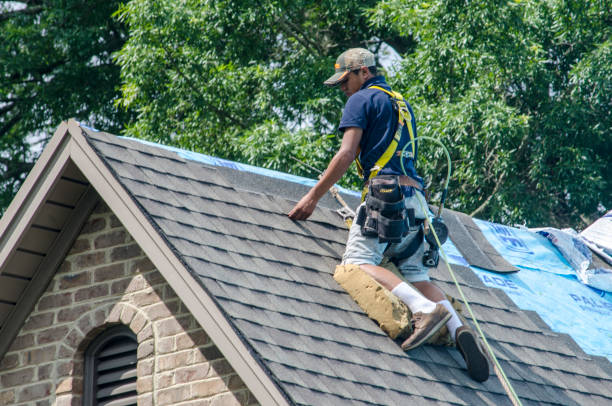 Best Roof Repair Specialists  in Ome, GA