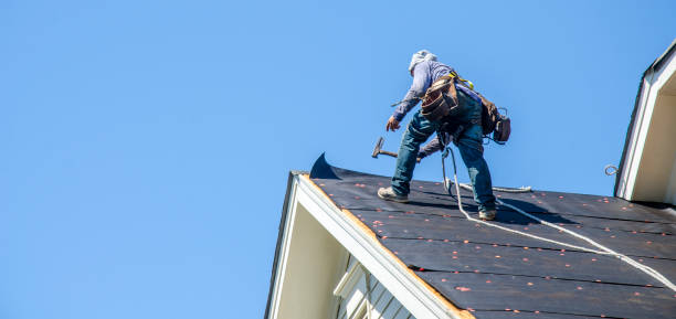 Best Local Roofing Companies  in Ome, GA